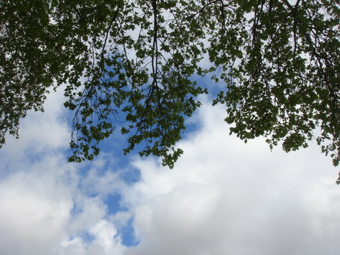 a0247585_017799.jpg