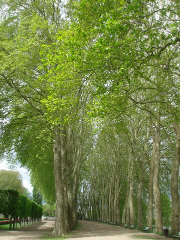 a0247585_0214481.jpg