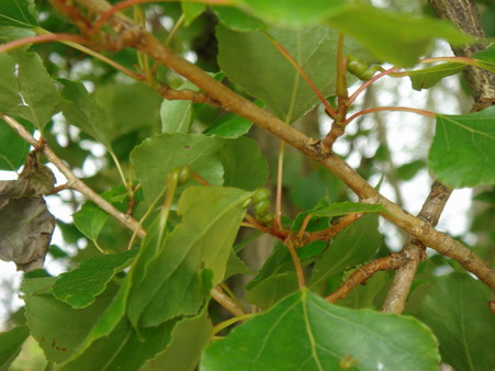a0247585_023105.jpg