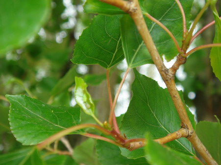 a0247585_0241087.jpg