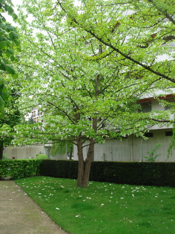 a0247585_0263737.jpg