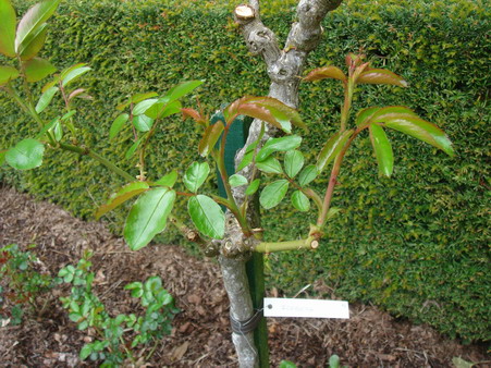 a0247585_0285916.jpg