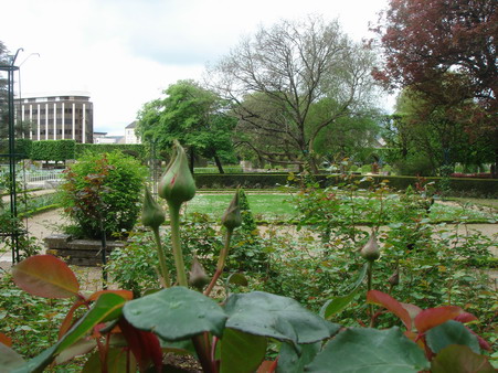 a0247585_0313237.jpg