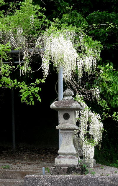 b0171185_2138159.jpg