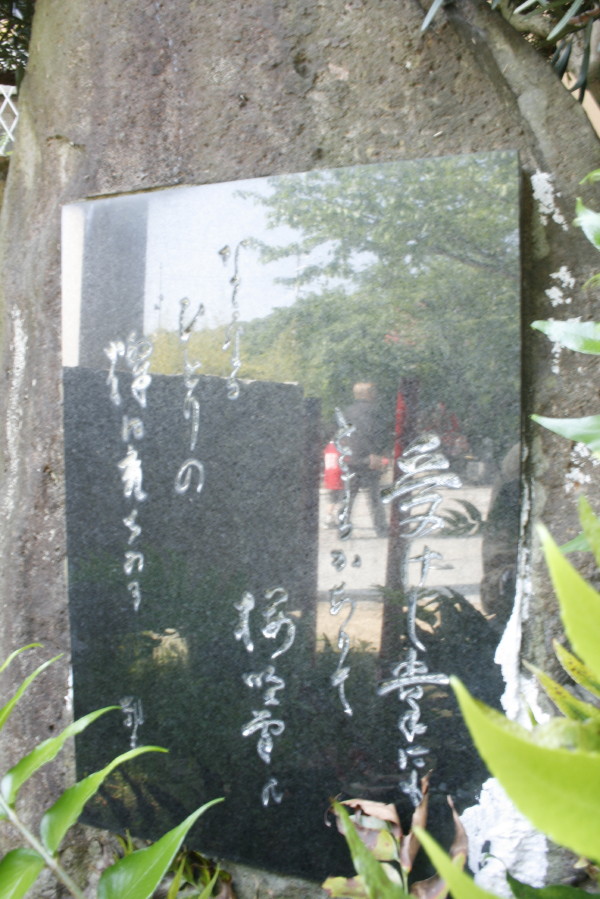 b0118987_5335435.jpg