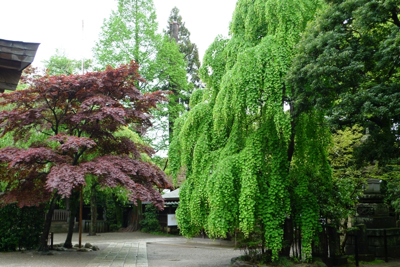 a0127090_2113211.jpg