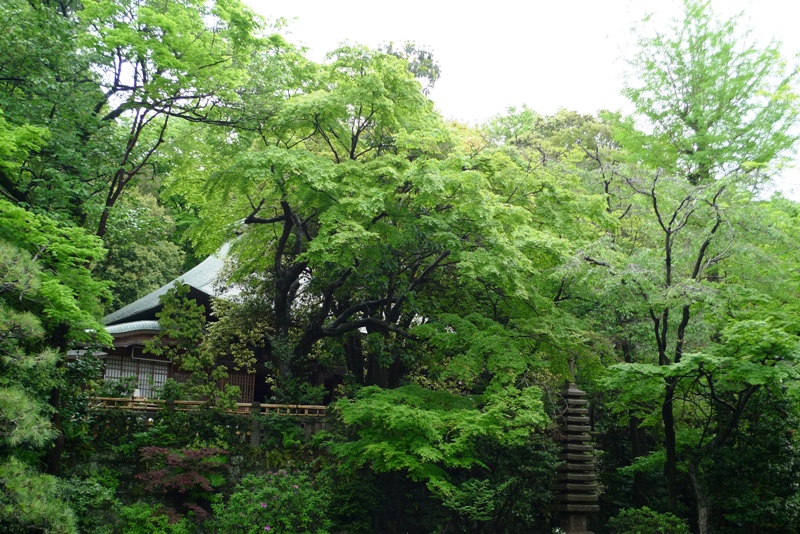 a0127090_21143323.jpg