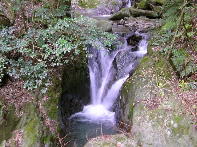 b0177493_2147971.jpg