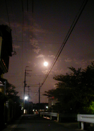 d0053294_0451386.jpg