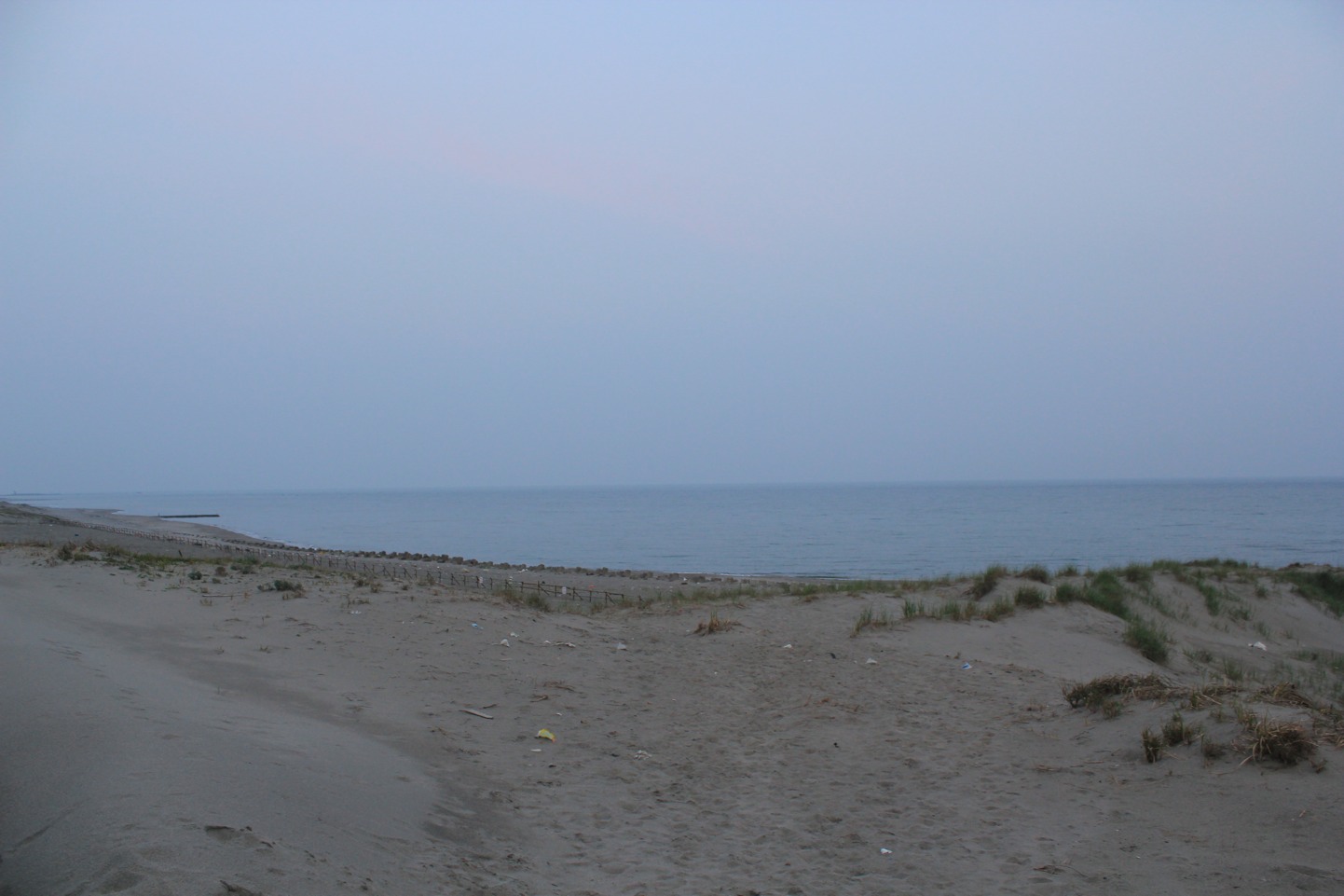 a0264604_7123814.jpg