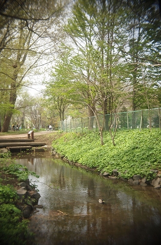 c0202705_1656247.jpg