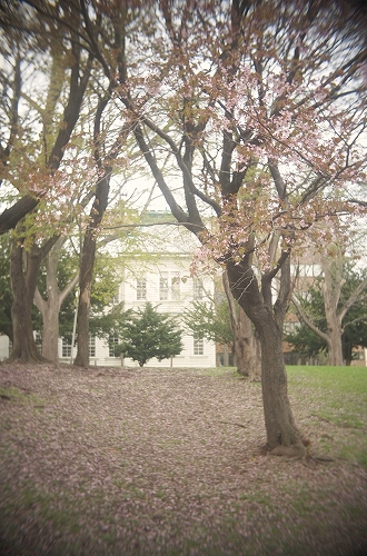 c0202705_17232692.jpg