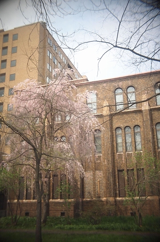 c0202705_17235475.jpg
