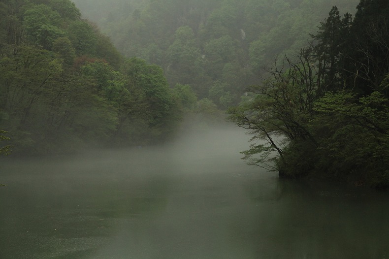 b0128609_10135657.jpg