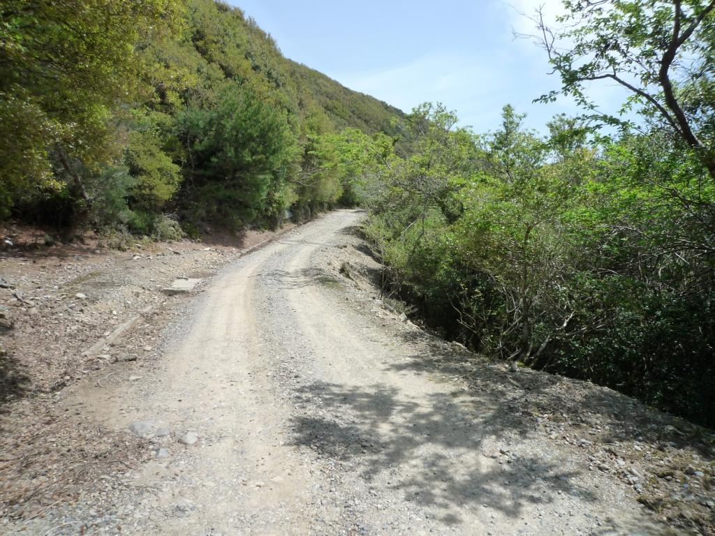 f0219810_11341335.jpg