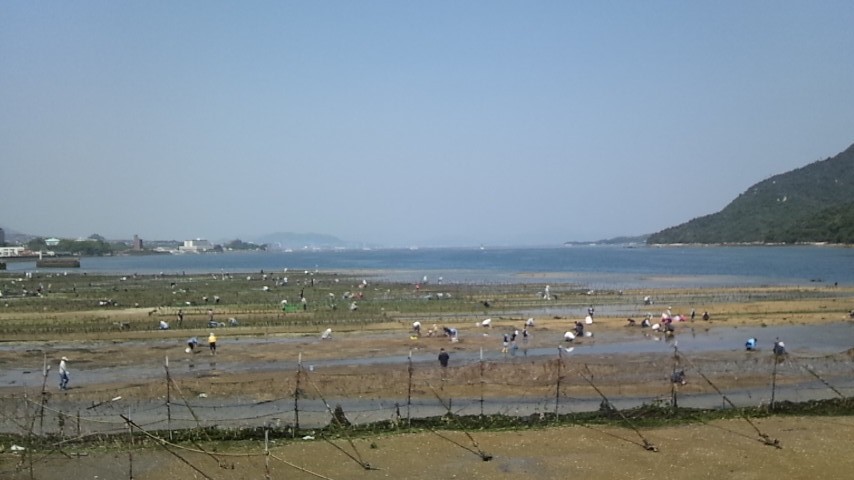 c0129314_1644234.jpg