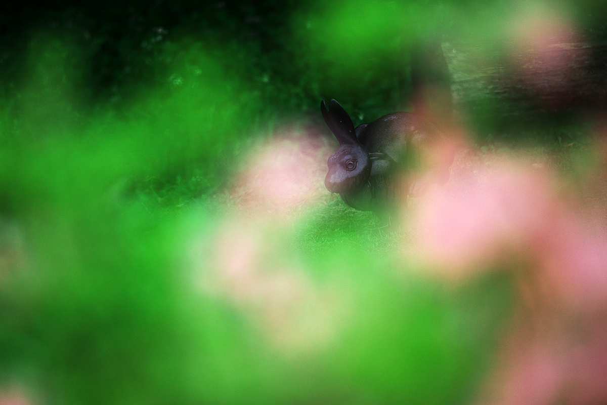 c0115616_610142.jpg