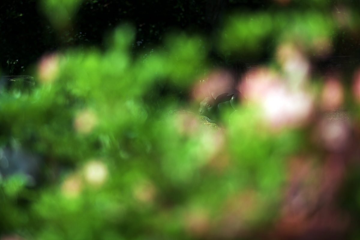 c0115616_6102120.jpg
