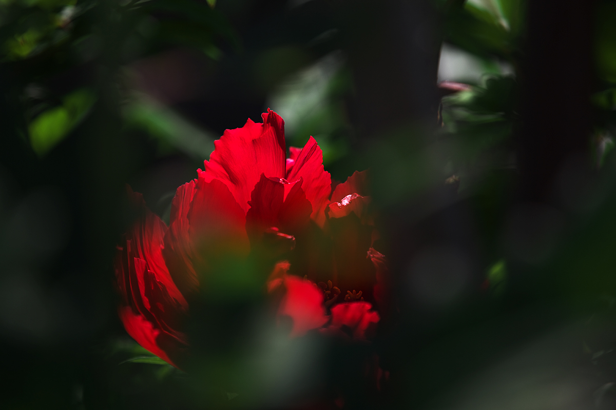 c0115616_610818.jpg