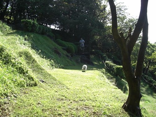 d0098316_184152.jpg