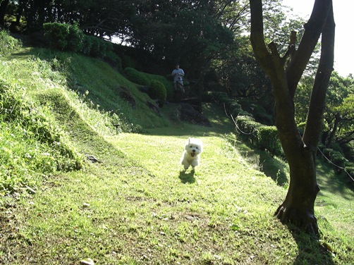 d0098316_184956.jpg