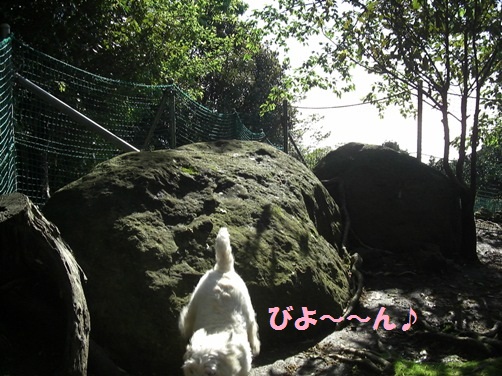 d0098316_22585544.jpg