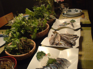 e0011321_9203543.jpg