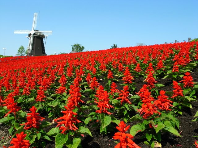 f0209122_14102969.jpg