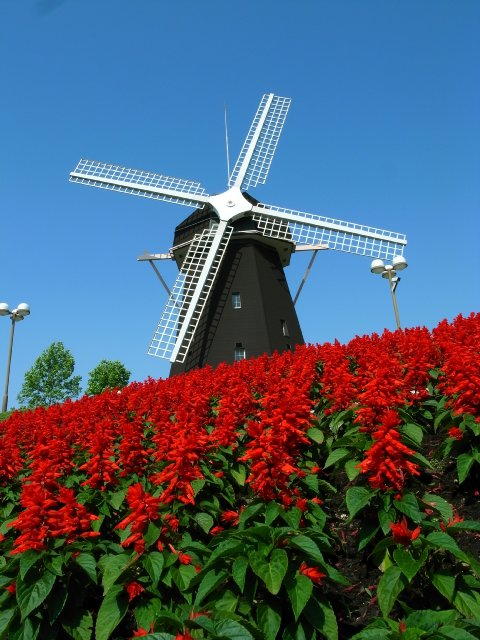f0209122_14122148.jpg