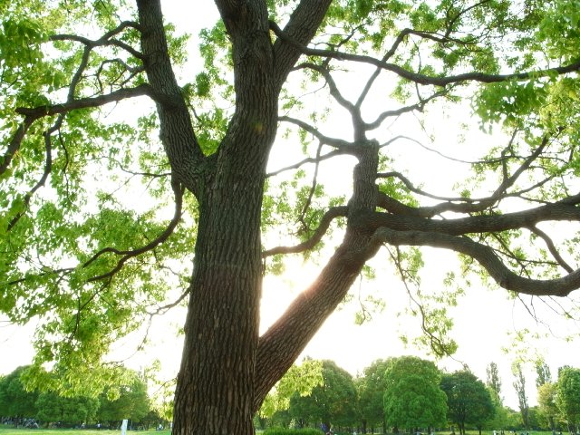 f0209122_14131055.jpg
