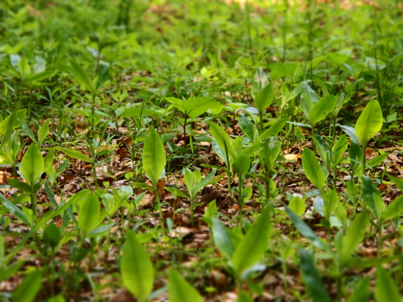 d0252924_940101.jpg
