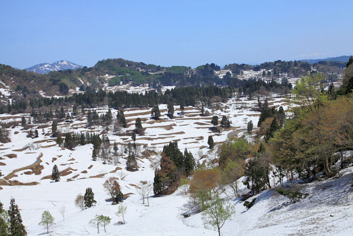 e0025930_9383686.jpg