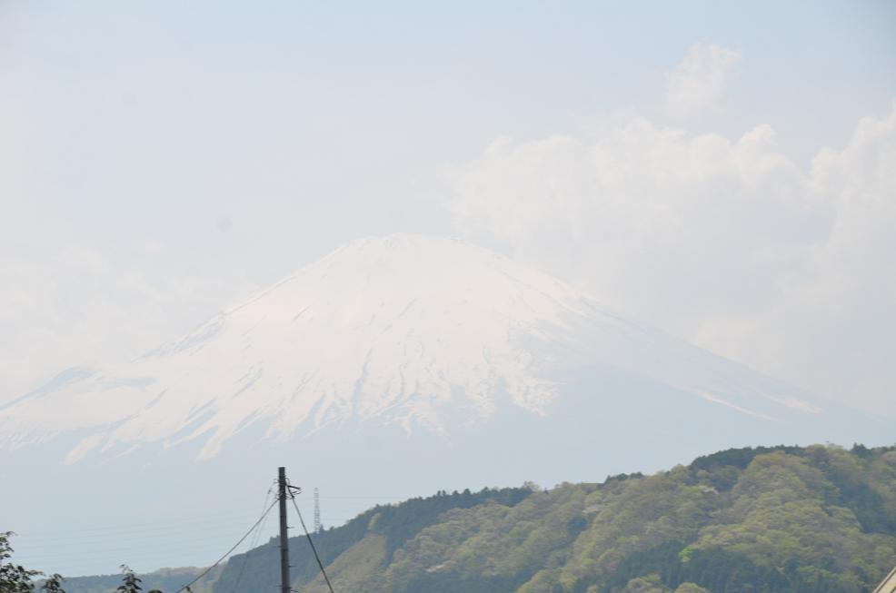 f0124830_049897.jpg