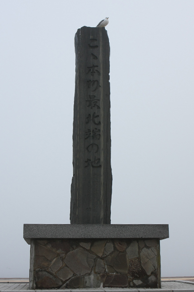 e0138031_223305.jpg