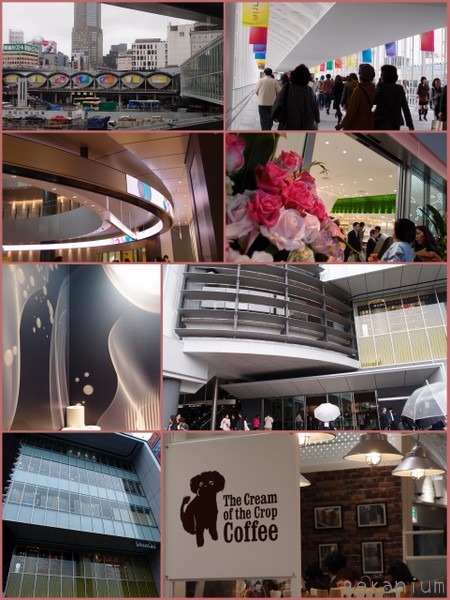 c0133533_0243848.jpg