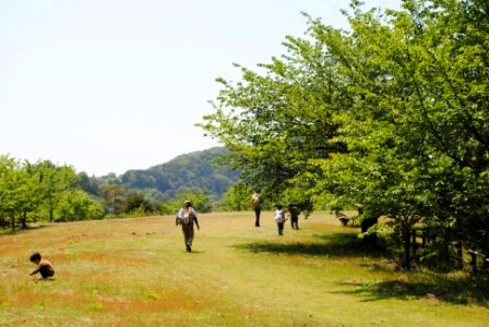 e0127935_10282373.jpg