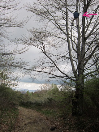 f0234936_1952553.jpg