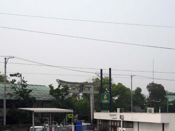 d0241937_16323516.jpg