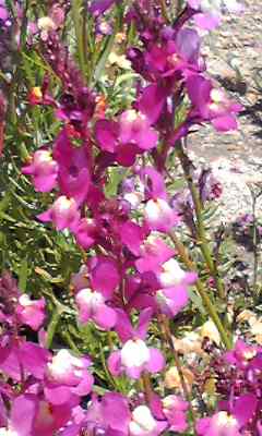 a0050838_2223744.jpg