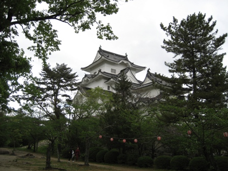 f0051638_2315910.jpg