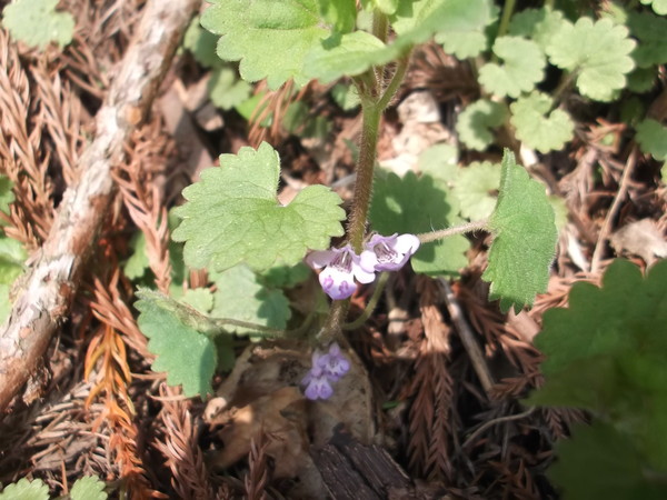 c0233141_11185419.jpg