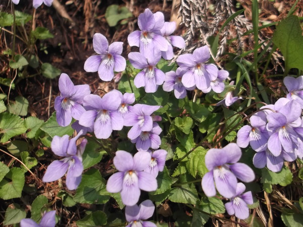 c0233141_11223011.jpg