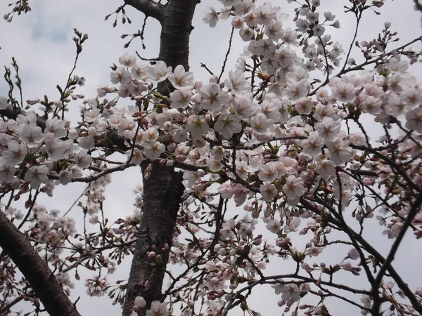 c0233141_11252350.jpg