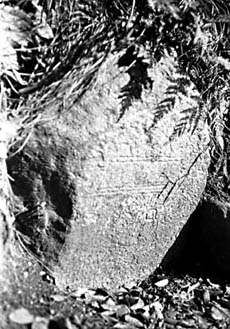 a0100742_12531663.jpg