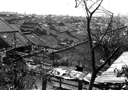 a0100742_125681.jpg