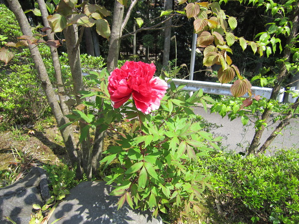 b0132746_0272819.jpg