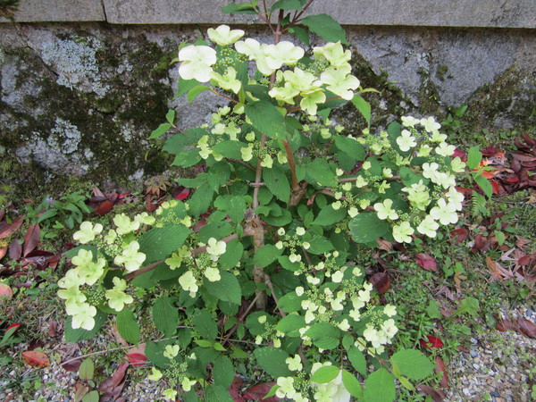 b0132746_0275583.jpg