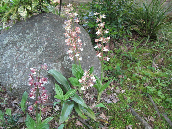b0132746_028308.jpg