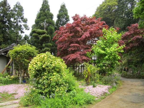 b0132746_029852.jpg