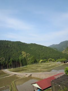a0054948_1775698.jpg